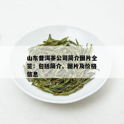 山东普洱茶公司简介图片全览：包括简介、图片及价格信息