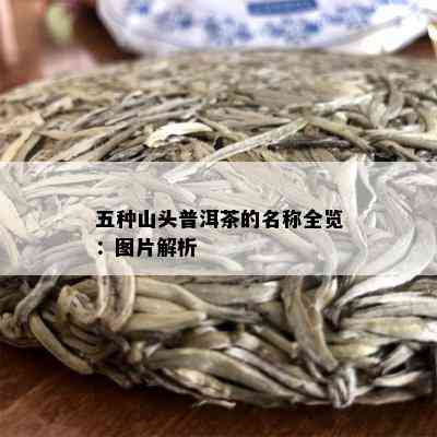 五种山头普洱茶的名称全览：图片解析