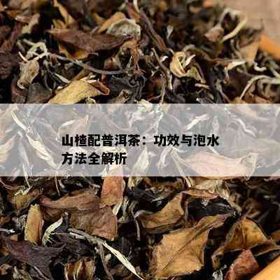 山楂配普洱茶：功效与泡水方法全解析