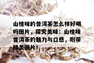 山楂味的普洱茶怎么样好喝吗图片，探究美味：山楂味普洱茶的魅力与口感，附带精美图片！