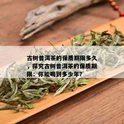 古树普洱茶的保质期限多久，探究古树普洱茶的保质期限：你能喝到多少年？