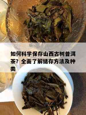 如何科学保存山西古树普洱茶？全面了解储存方法及种类