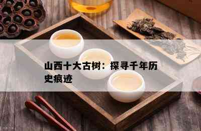 山西十大古树：探寻千年历史痕迹