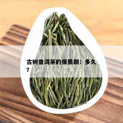 古树普洱茶的保质期：多久？