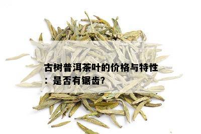 古树普洱茶叶的价格与特性：是否有锯齿？