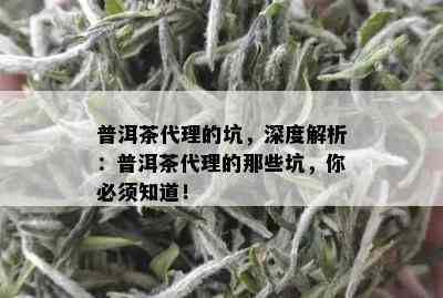 普洱茶代理的坑，深度解析：普洱茶代理的那些坑，你必须知道！