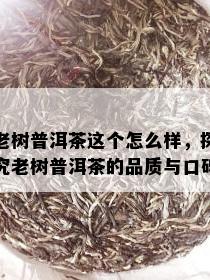 老树普洱茶这个怎么样，探究老树普洱茶的品质与口碑