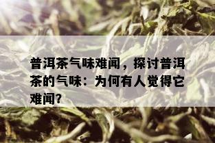 普洱茶气味难闻，探讨普洱茶的气味：为何有人觉得它难闻？