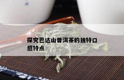 探究巴达山普洱茶的独特口感特点