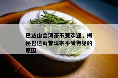 巴达山普洱茶不受欢迎，揭秘巴达山普洱茶不受待见的原因