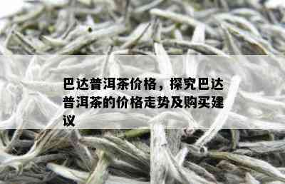 巴达普洱茶价格，探究巴达普洱茶的价格走势及购买建议