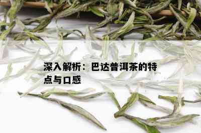 深入解析：巴达普洱茶的特点与口感