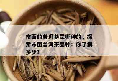 市面的普洱茶是哪种的，探索市面普洱茶品种：你了解多少？