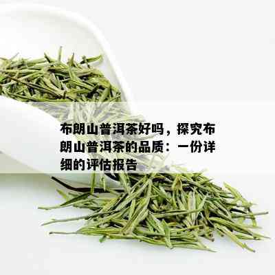 布朗山普洱茶好吗，探究布朗山普洱茶的品质：一份详细的评估报告