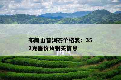 布朗山普洱茶价格表：357克售价及相关信息