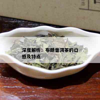 深度解析：布朗普洱茶的口感及特点