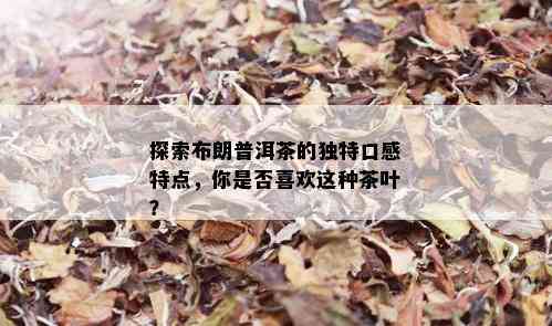 探索布朗普洱茶的独特口感特点，你是否喜欢这种茶叶？