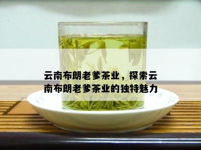 云南布朗老爹茶业，探索云南布朗老爹茶业的独特魅力