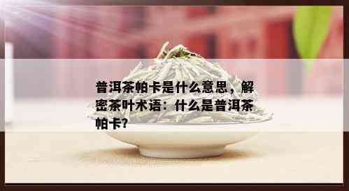 普洱茶帕卡是什么意思，解密茶叶术语：什么是普洱茶帕卡？