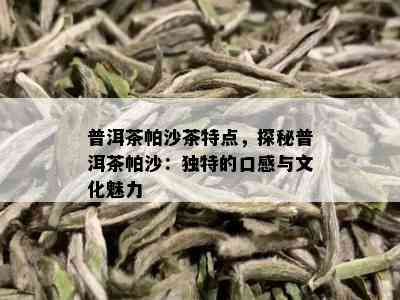 普洱茶帕沙茶特点，探秘普洱茶帕沙：独特的口感与文化魅力