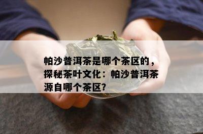 帕沙普洱茶是哪个茶区的，探秘茶叶文化：帕沙普洱茶源自哪个茶区？