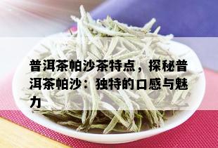 普洱茶帕沙茶特点，探秘普洱茶帕沙：独特的口感与魅力