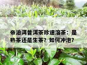 帝泊洱普洱茶珍速溶茶：是熟茶还是生茶？如何冲泡？