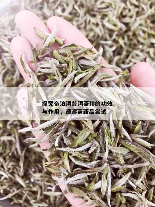 探究帝泊洱普洱茶珍的功效与作用，速溶茶新品尝试