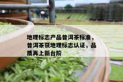 地理标志产品普洱茶标准，普洱茶获地理标志认证，品质再上新台阶