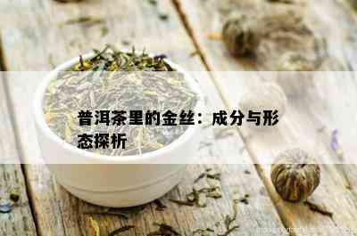 普洱茶里的金丝：成分与形态探析