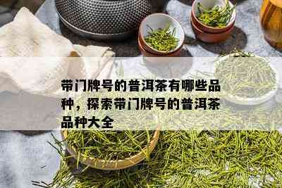 带门牌号的普洱茶有哪些品种，探索带门牌号的普洱茶品种大全