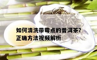 如何清洗带霉点的普洱茶？正确方法视频解析