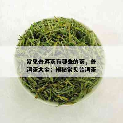 常见普洱茶有哪些的茶，普洱茶大全：揭秘常见普洱茶