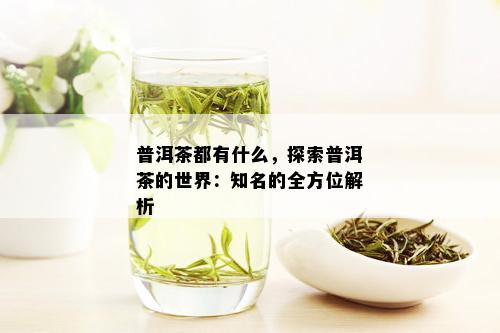 普洱茶都有什么，探索普洱茶的世界：知名的全方位解析