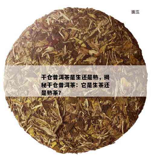 干仓普洱茶是生还是熟，揭秘干仓普洱茶：它是生茶还是熟茶？