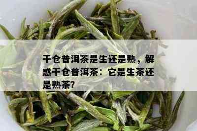 干仓普洱茶是生还是熟，解惑干仓普洱茶：它是生茶还是熟茶？