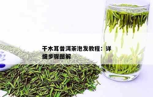 干木耳普洱茶泡发教程：详细步骤图解