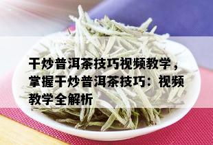 干炒普洱茶技巧视频教学，掌握干炒普洱茶技巧：视频教学全解析