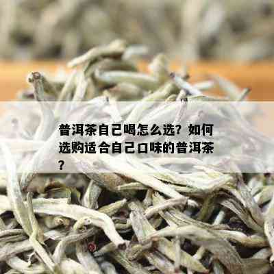 普洱茶自己喝怎么选？如何选购适合自己口味的普洱茶？