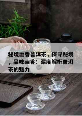 秘境幽香普洱茶，探寻秘境，品味幽香：深度解析普洱茶的魅力