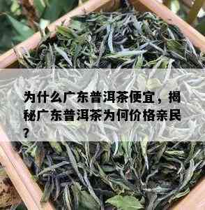 为什么广东普洱茶便宜，揭秘广东普洱茶为何价格亲民？