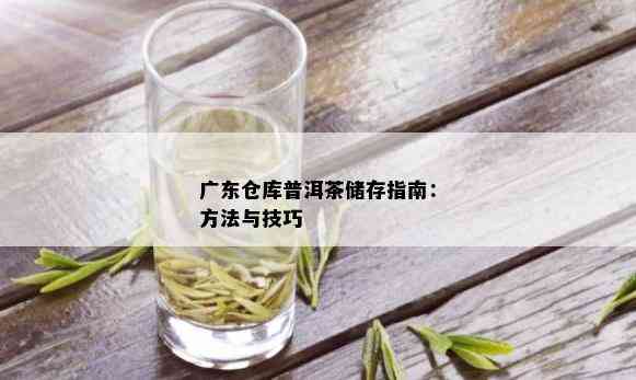 广东仓库普洱茶储存指南：方法与技巧