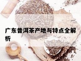 广东普洱茶产地与特点全解析