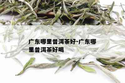 广东哪里普洱茶好-广东哪里普洱茶好喝