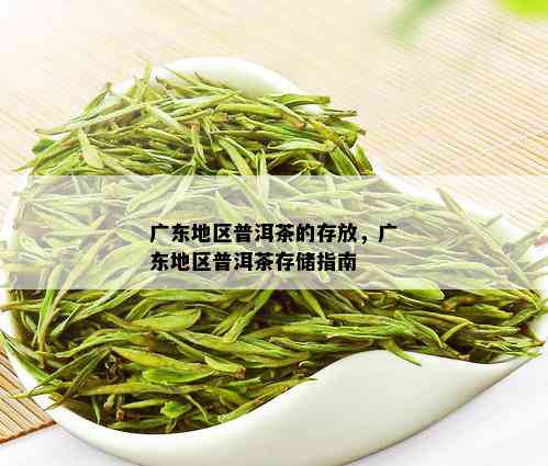 广东地区普洱茶的存放，广东地区普洱茶存储指南