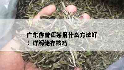 广东存普洱茶用什么方法好：详解储存技巧