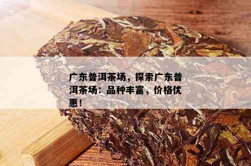 广东普洱茶场，探索广东普洱茶场：品种丰富，价格优惠！