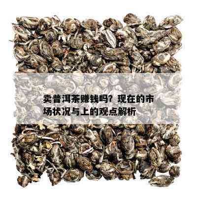 卖普洱茶赚钱吗？现在的市场状况与上的观点解析