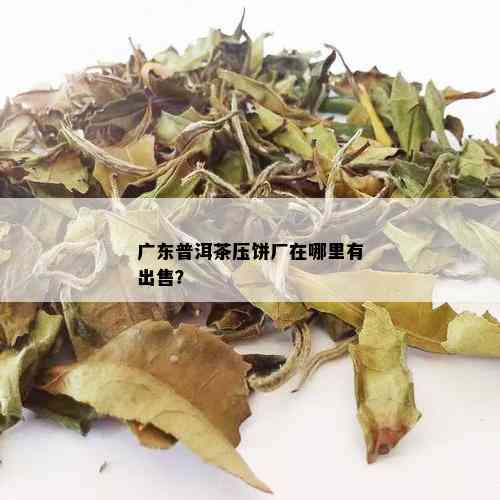 广东普洱茶压饼厂在哪里有出售？