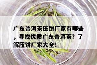 广东普洱茶压饼厂家有哪些，寻找优质广东普洱茶？了解压饼厂家大全！